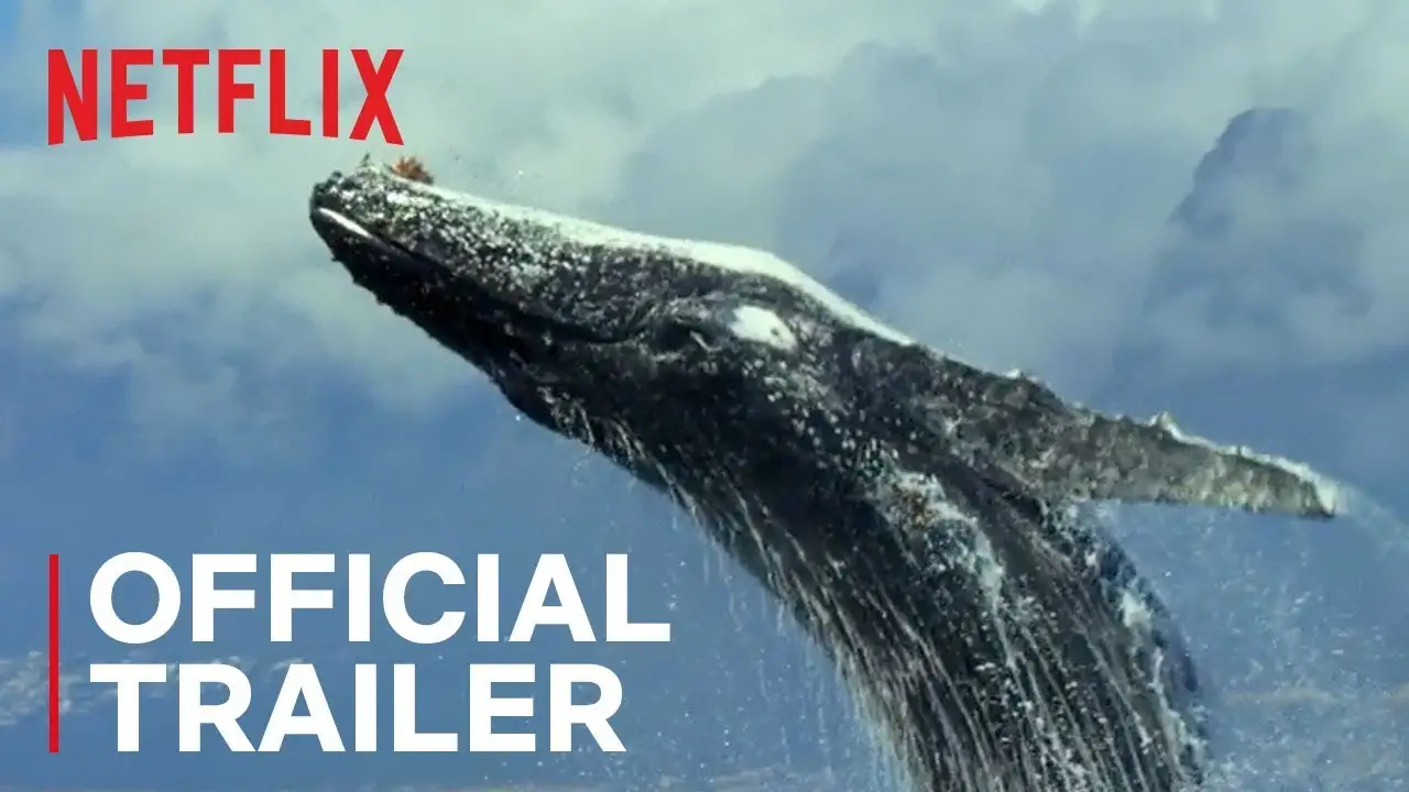 Our Planet — tráiler