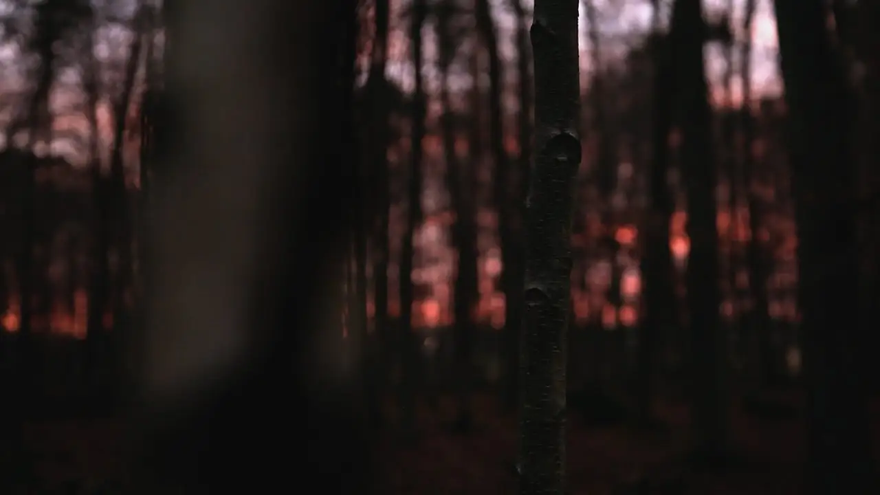 No Lullaby — trailer