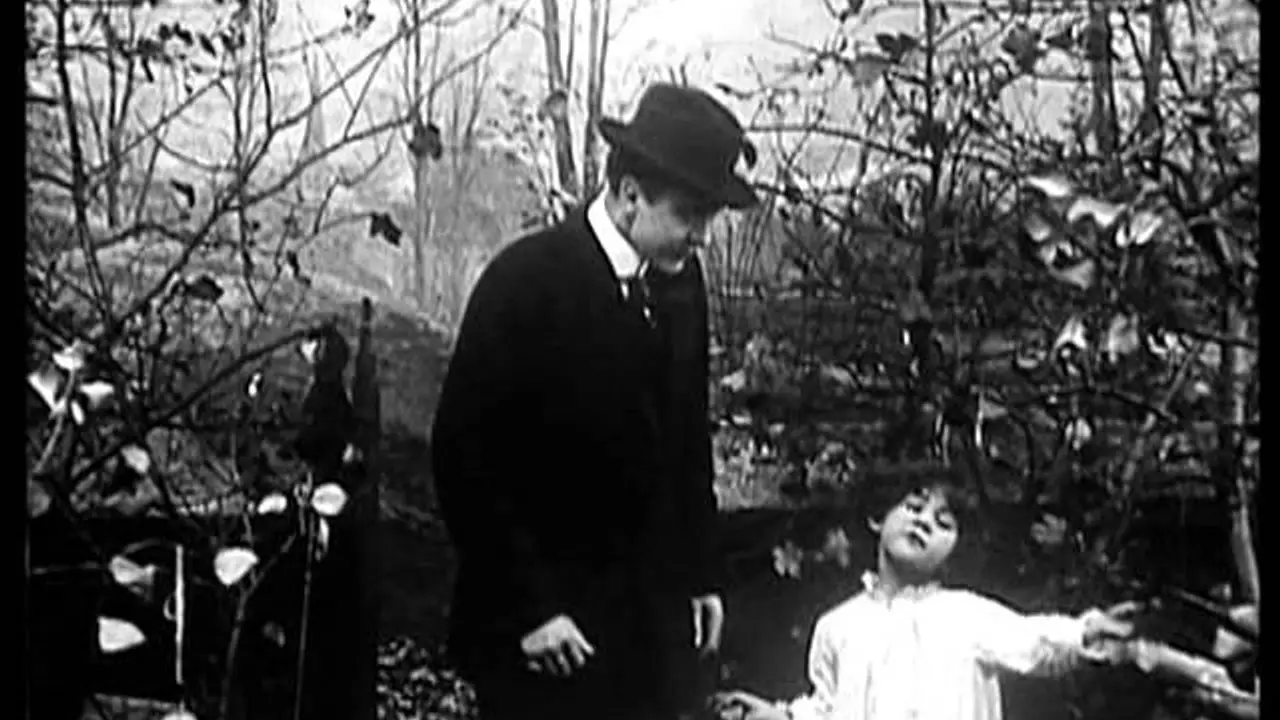 Falling Leaves — trailer