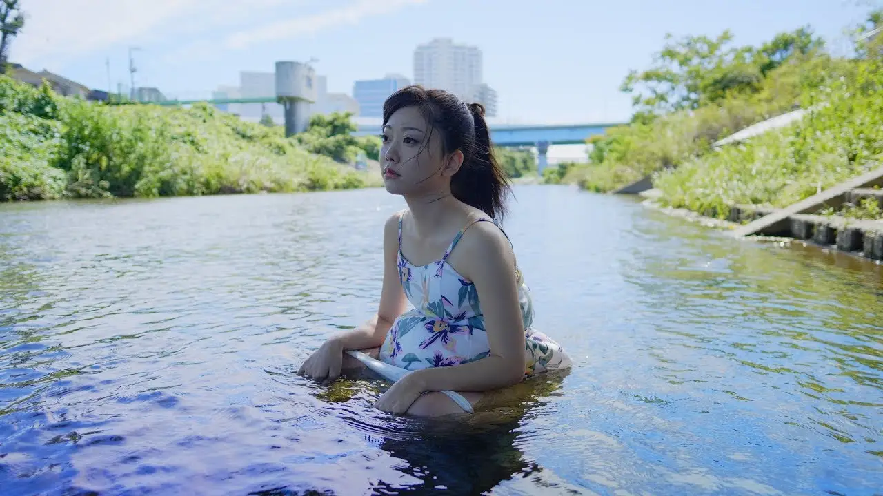 Shell and Joint — trailer