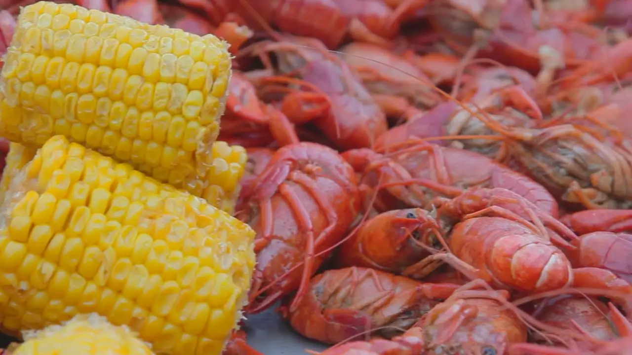 Acadiana — trailer