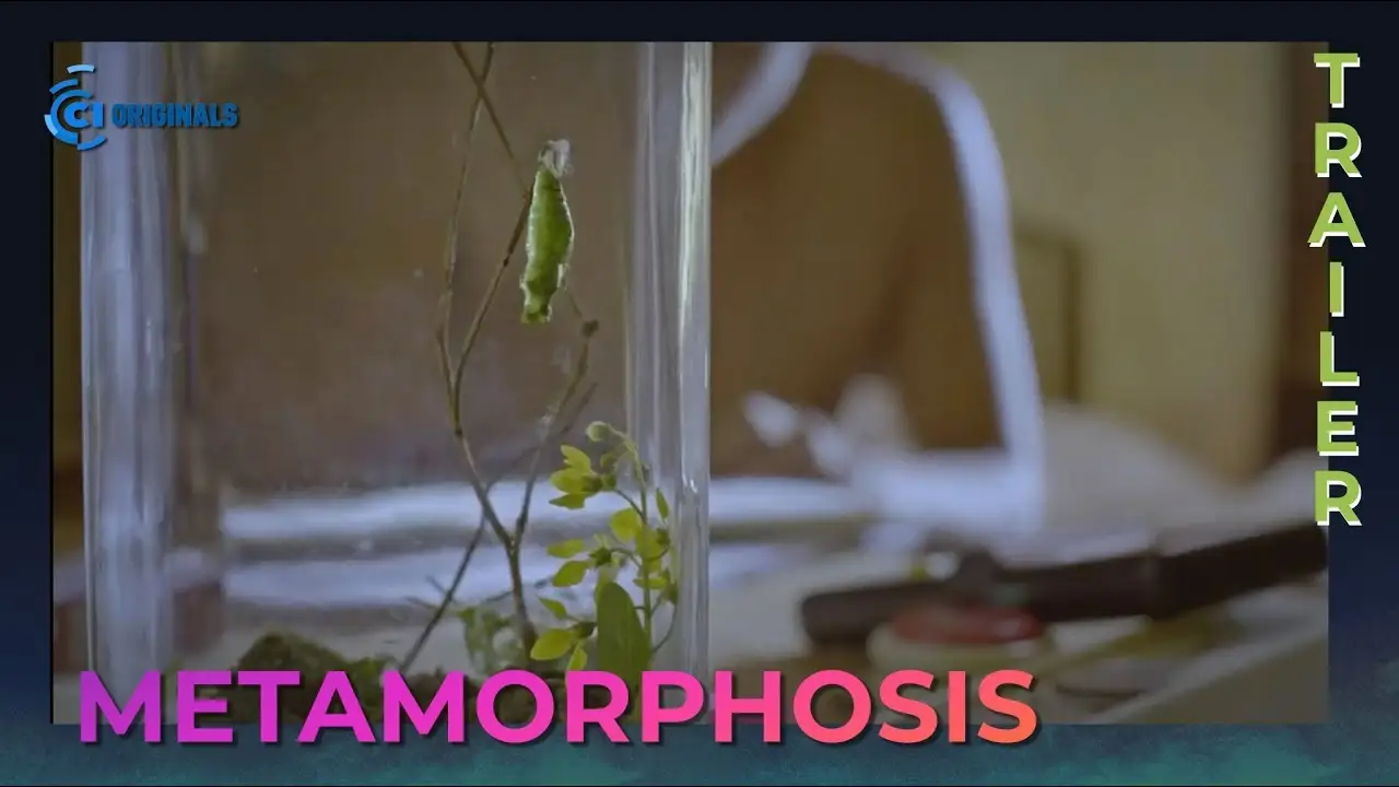 Metamorphosis — trailer