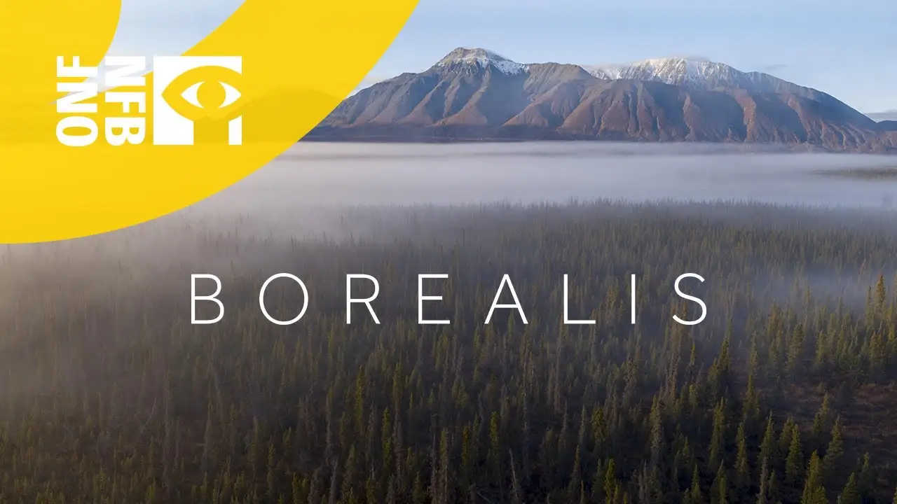 Borealis — trailer