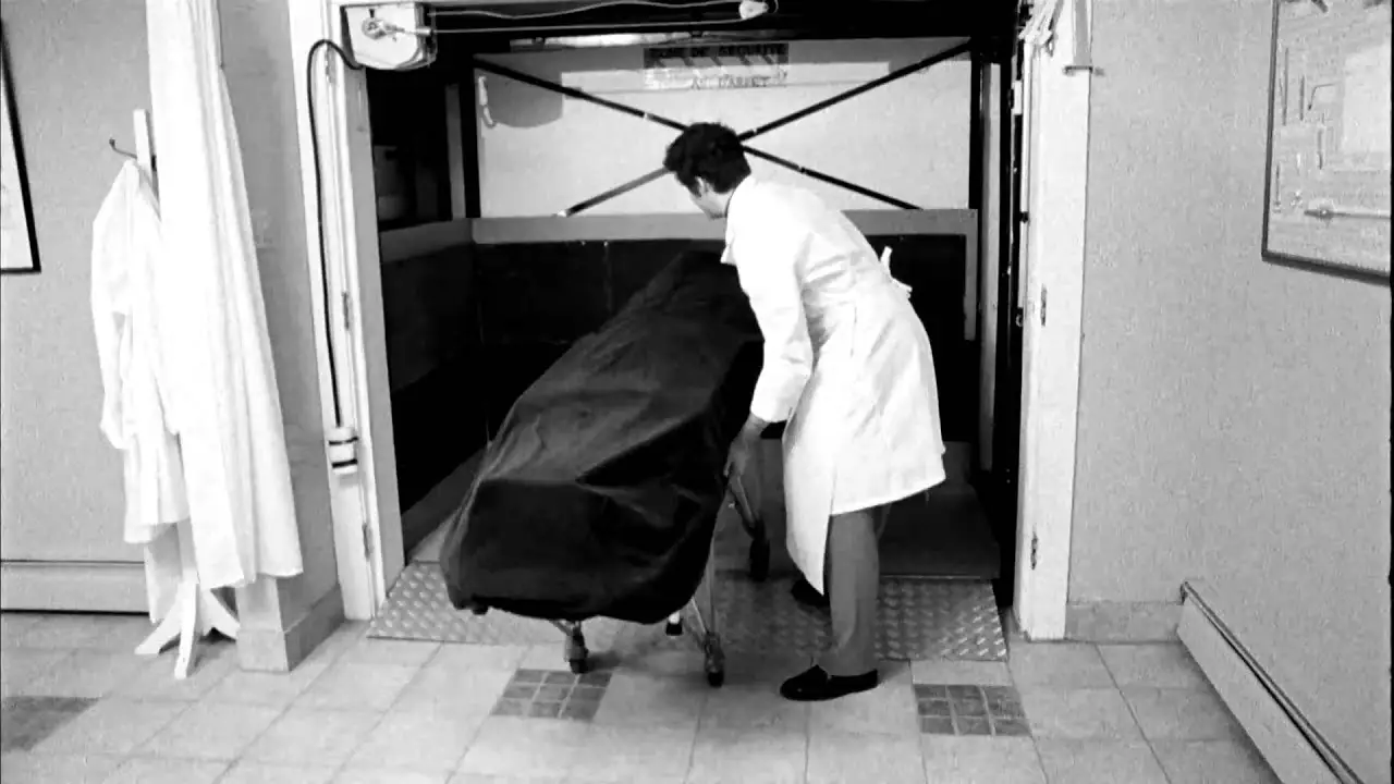 A cielo abierto — tráiler