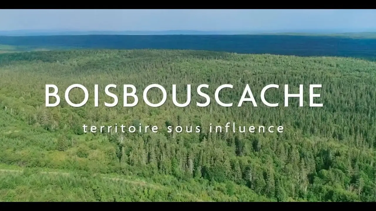 Boisbouscache — trailer