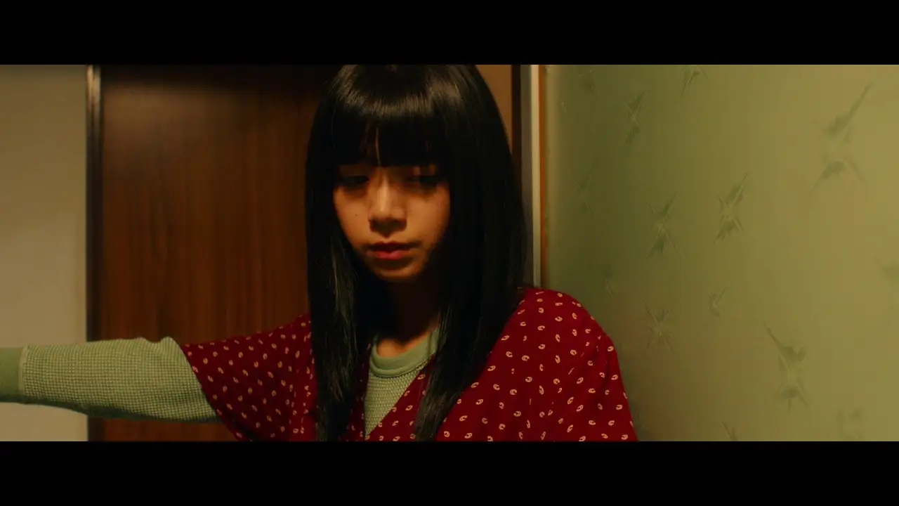 Room Laundering — trailer