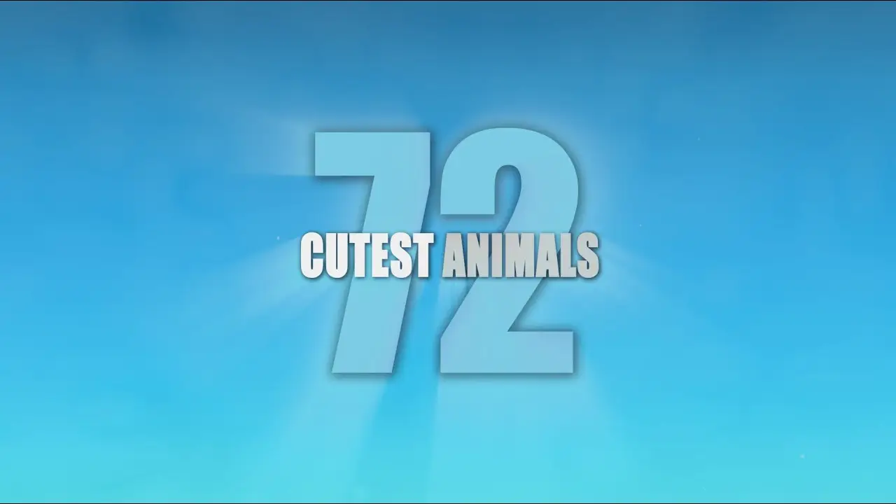 72 Cutest Animals — trailer