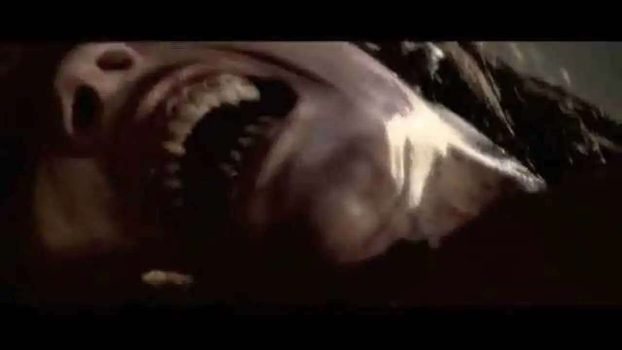 Bled — trailer