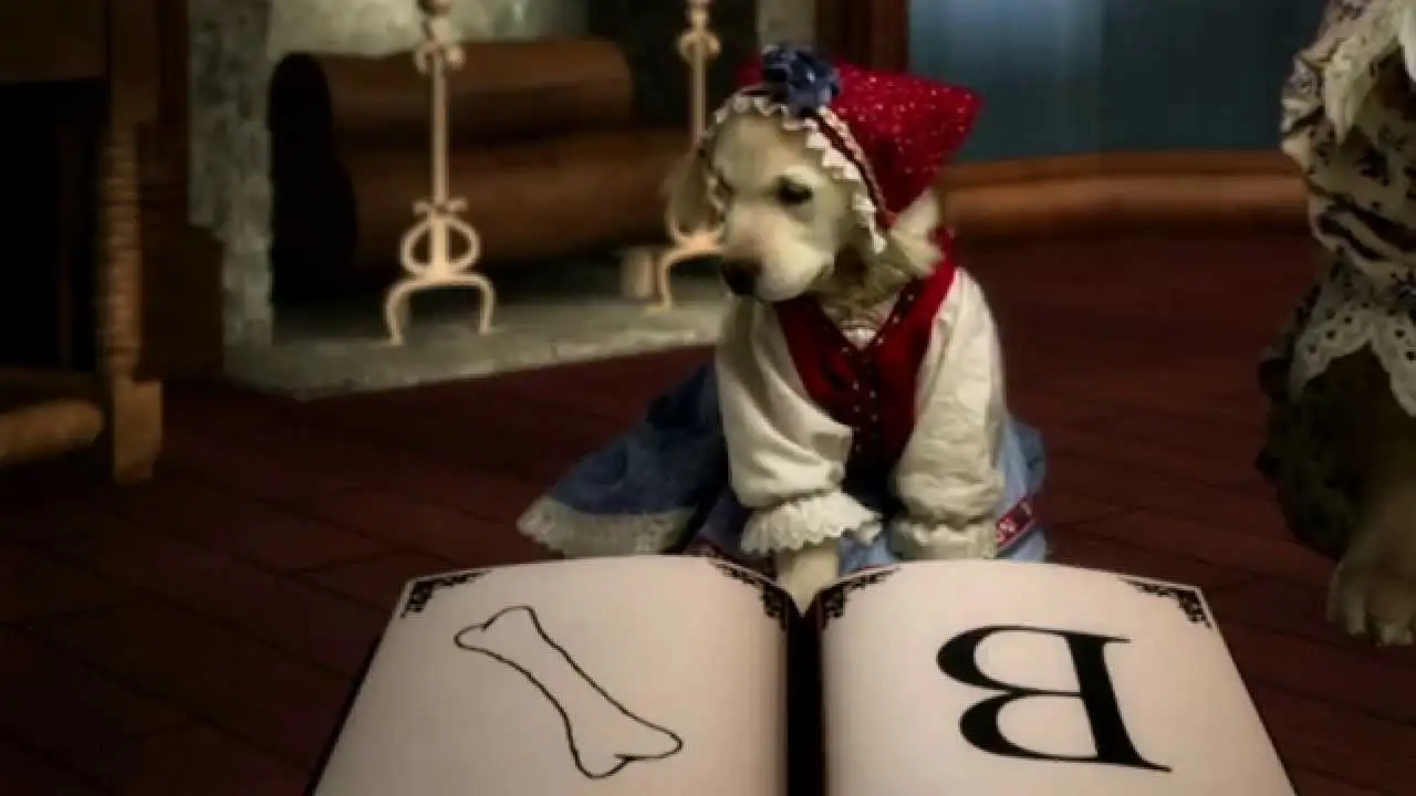 Heidi 4 Paws — trailer