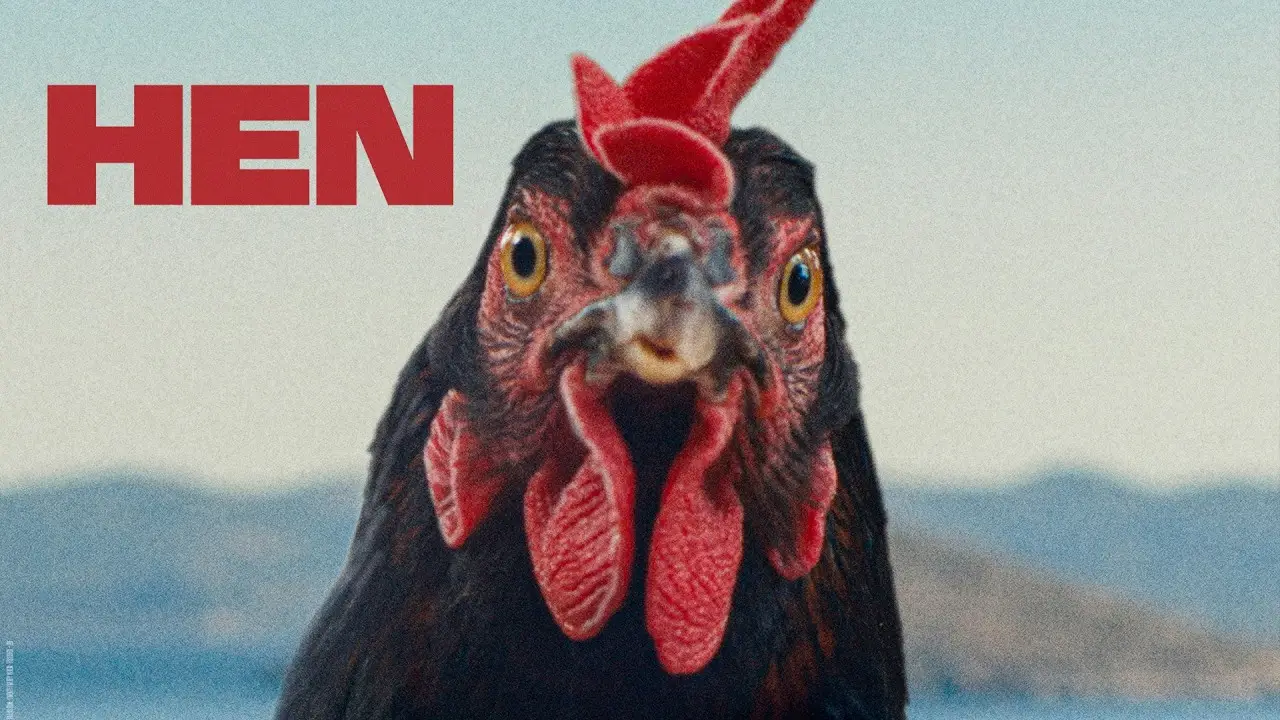 Hen — tráiler
