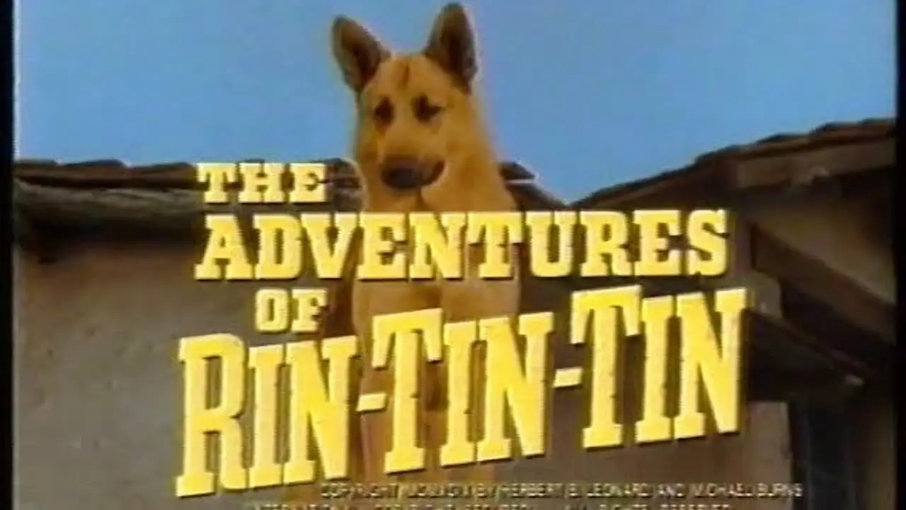 Las aventuras de Rin tin tin — tráiler