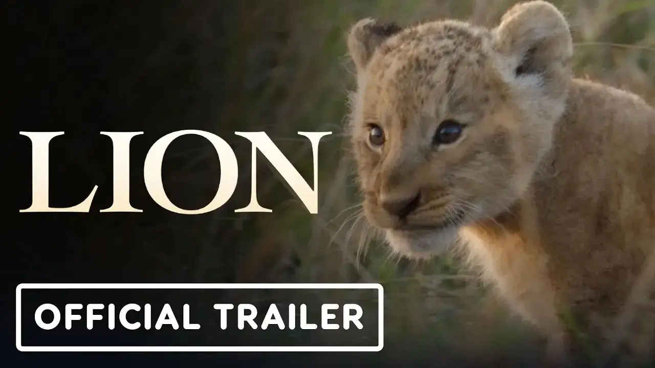 Lion — трейлер