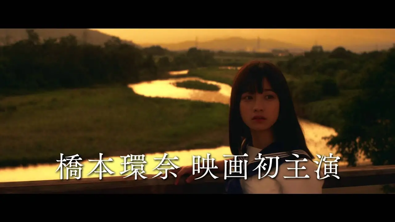 Sailor Suit and Machine Gun: Graduation — trailer