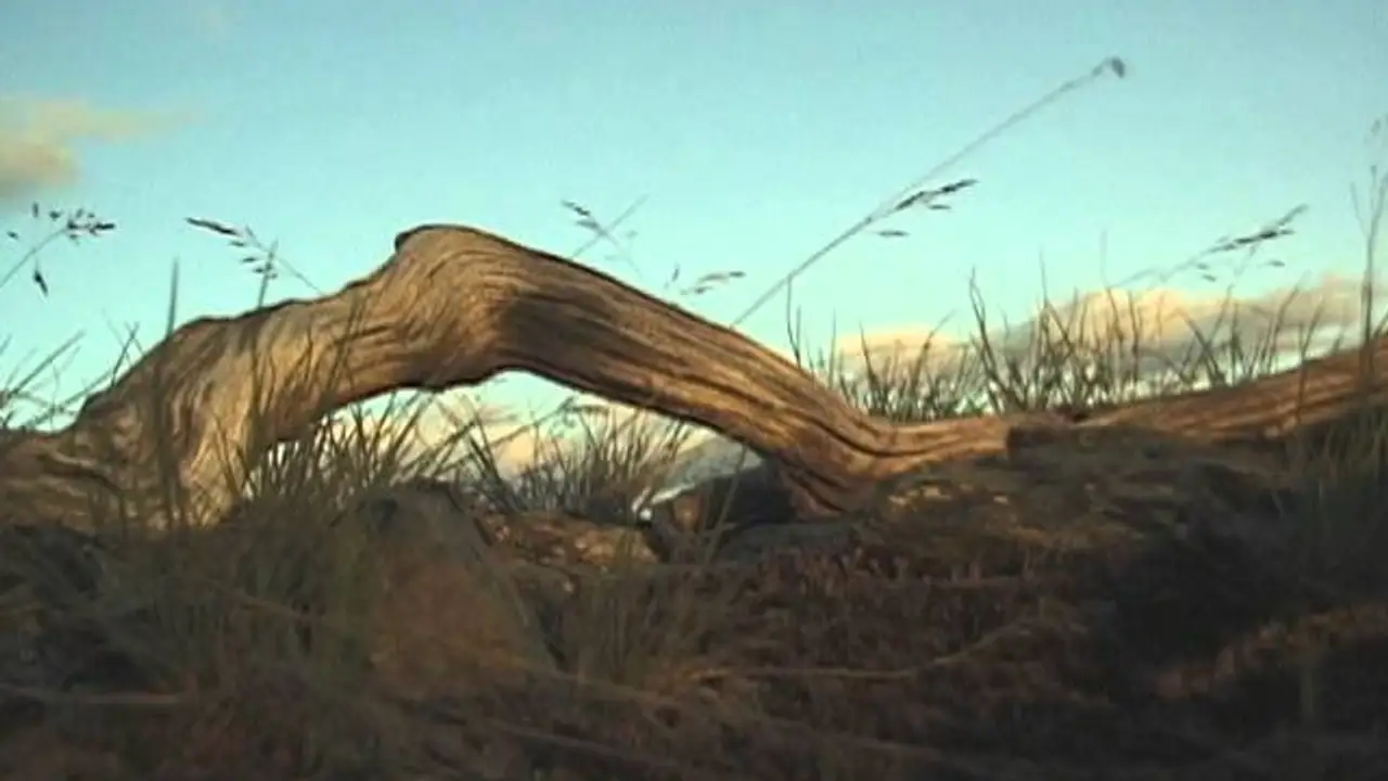 American Wilderness — trailer