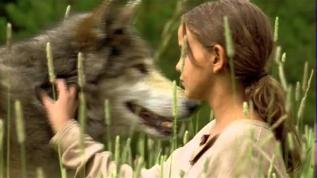 Wolf Summer — trailer