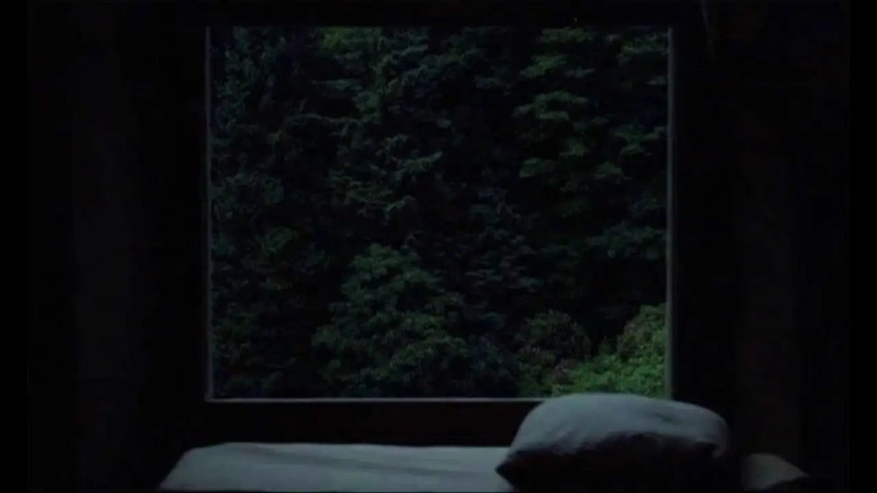 Nuytten/Film — trailer