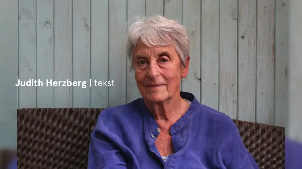 Leedvermaak — trailer