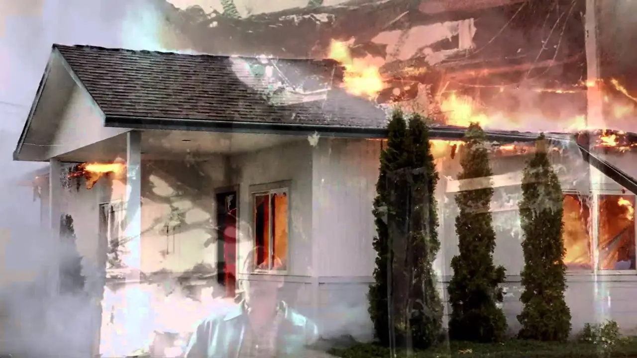 If a Tree Falls — trailer