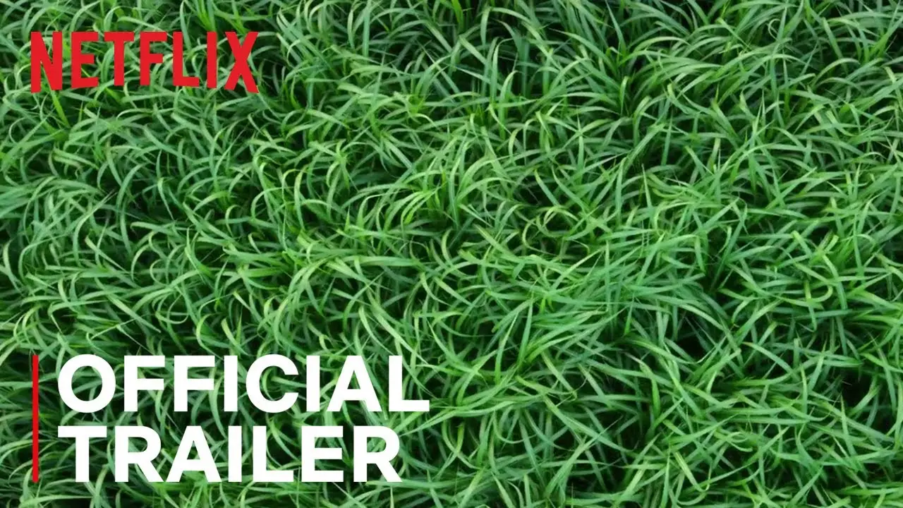 Grass — trailer