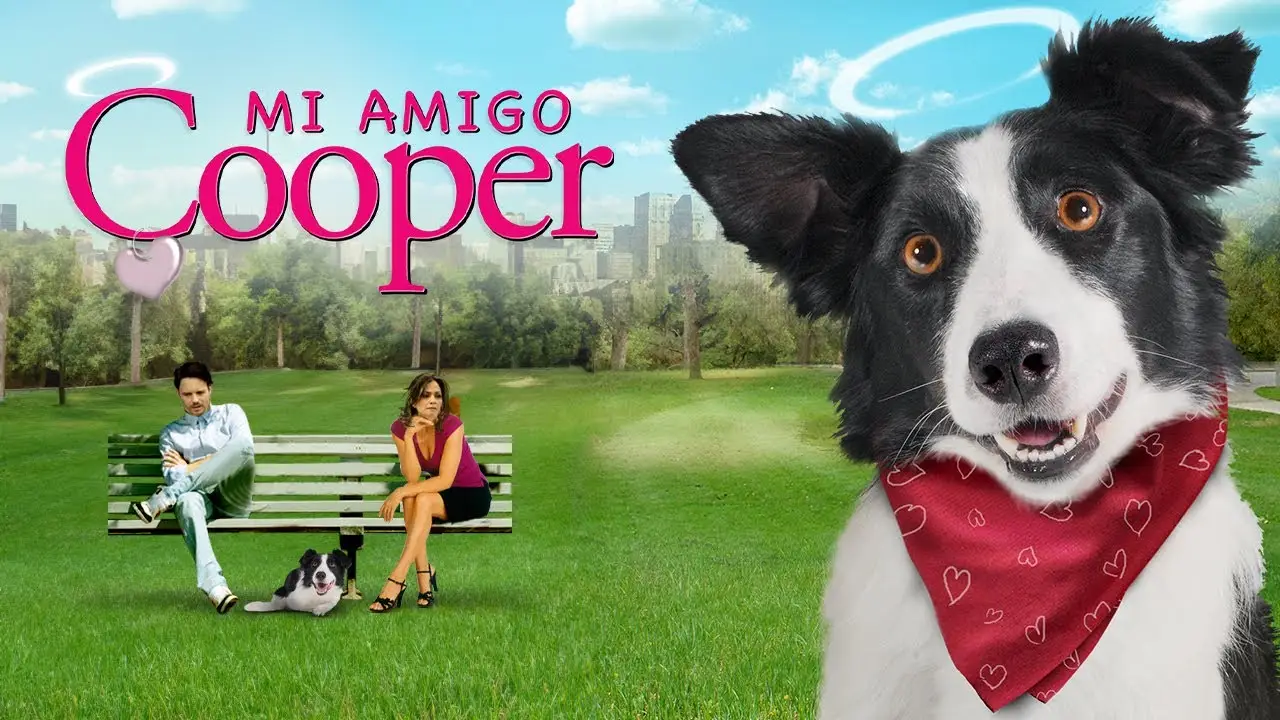 Angel Dog — trailer