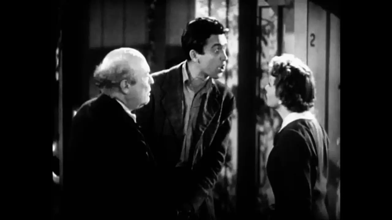 It's a Wonderful World — trailer
