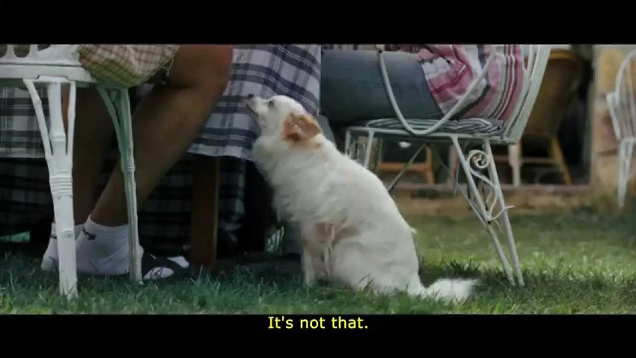 Family United — trailer