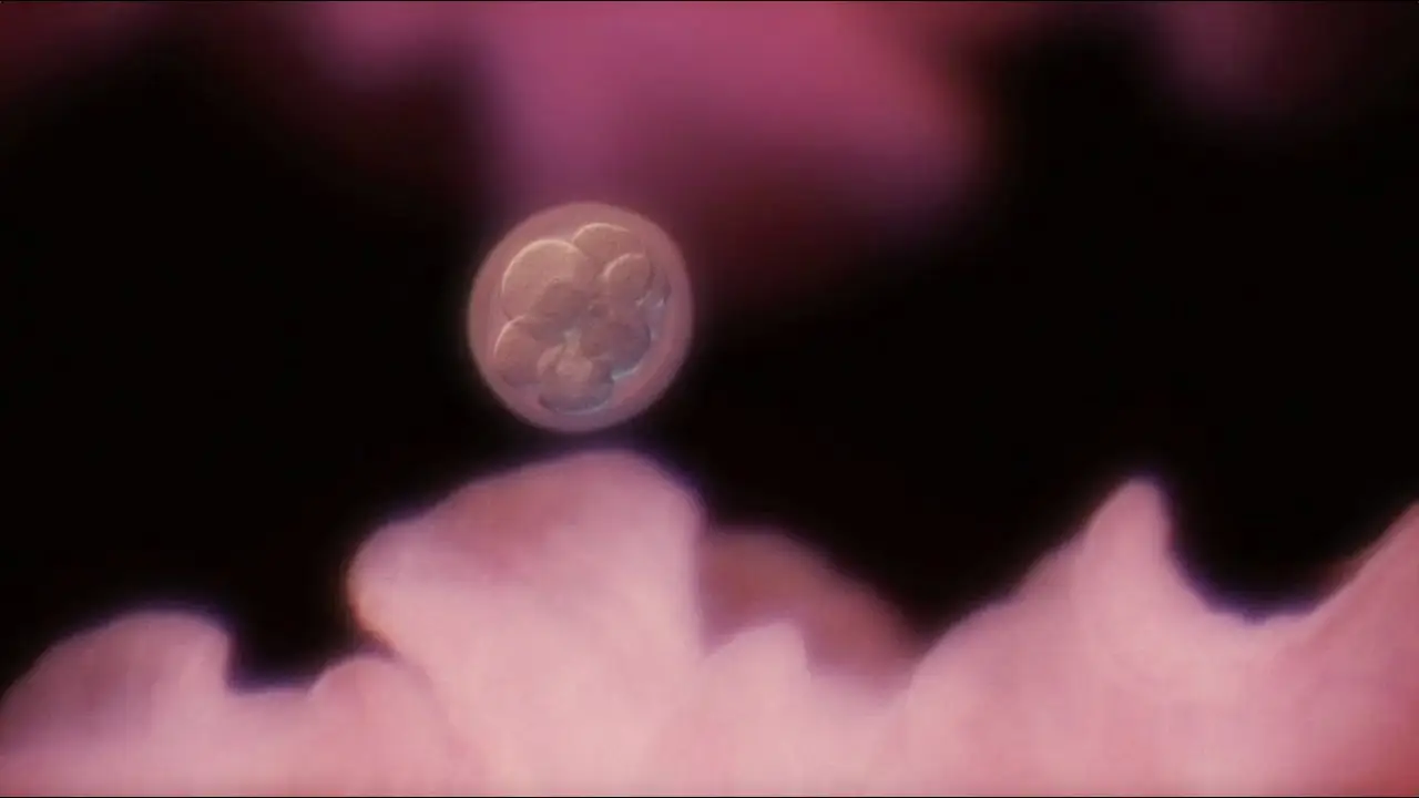 In Utero — trailer