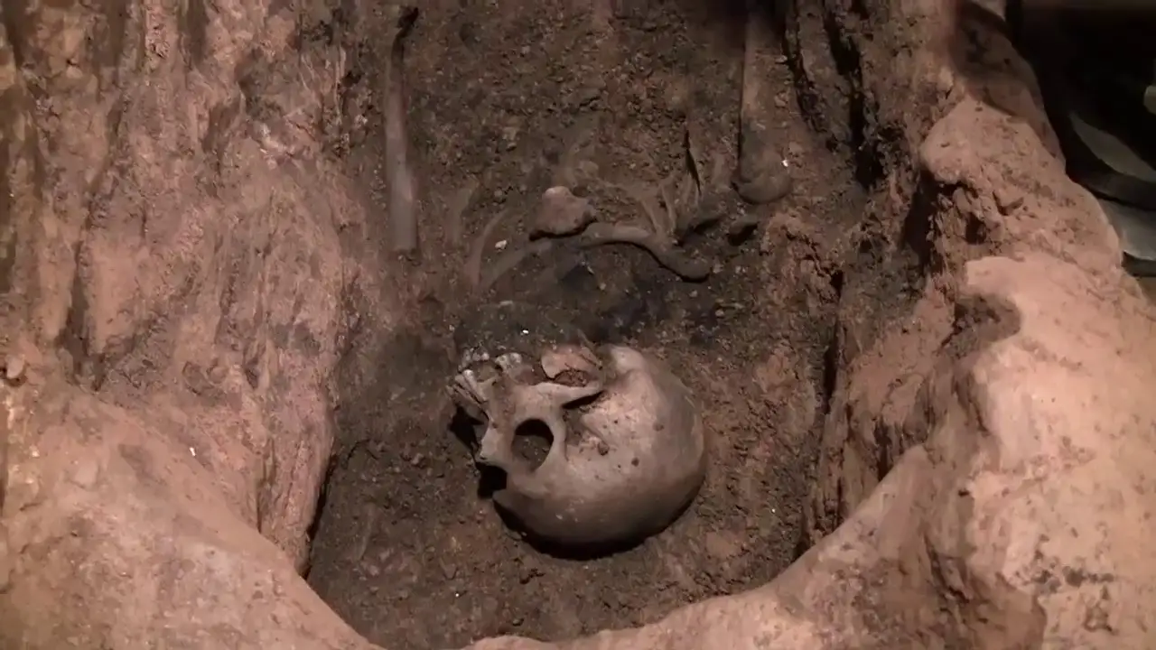 Bones of Contention — trailer
