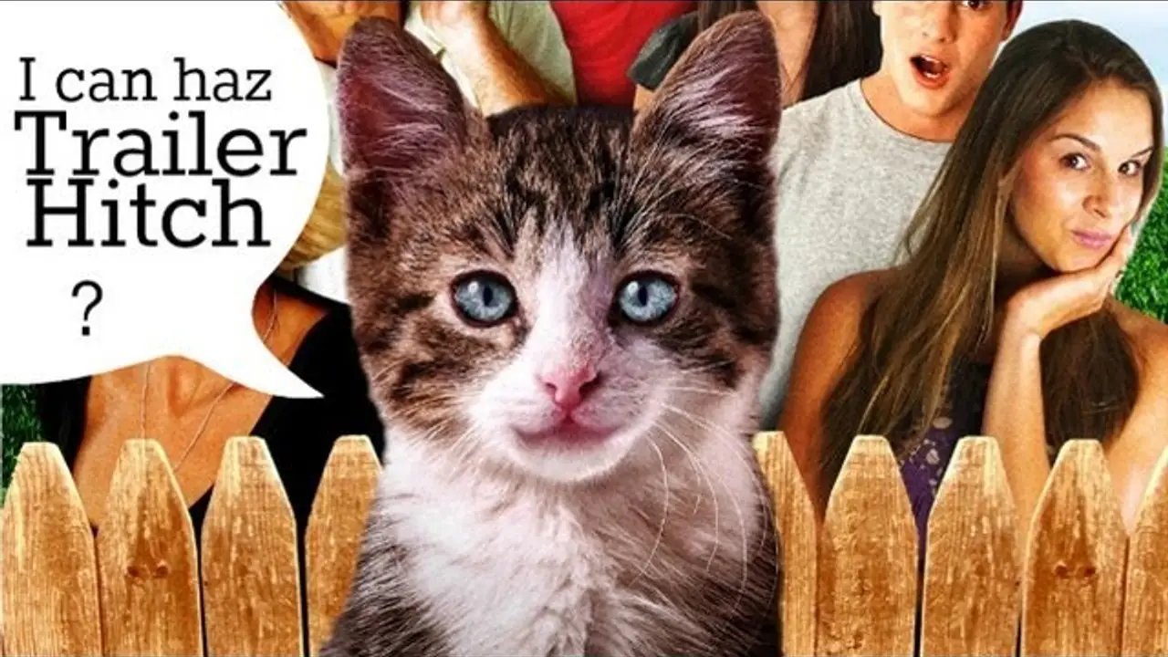 A Talking Cat!?! — trailer