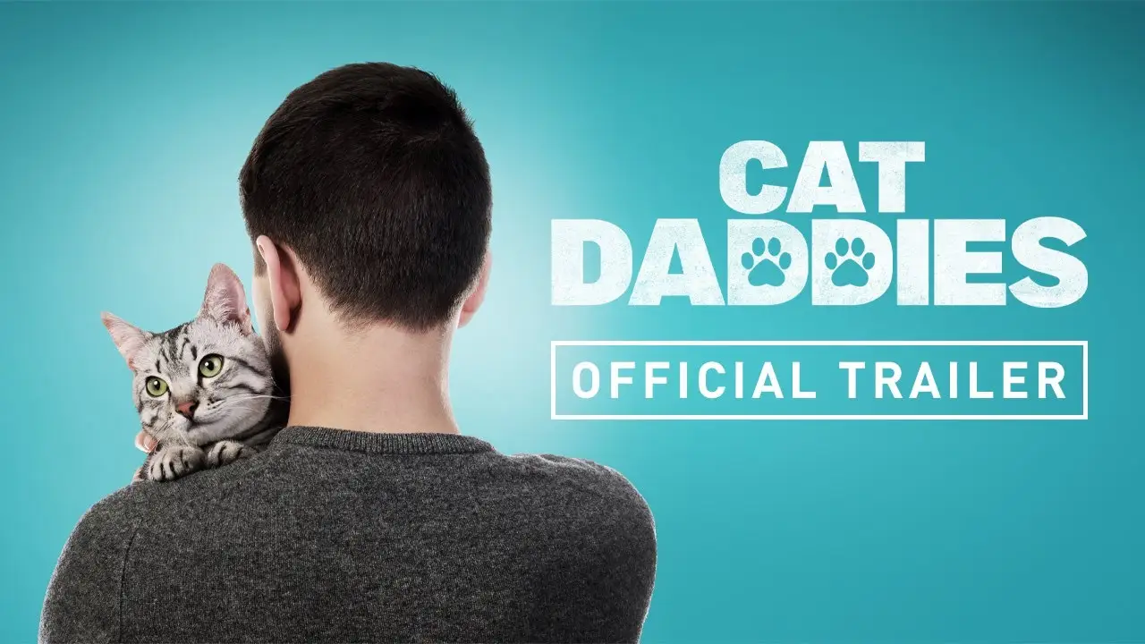 Cat Daddies — trailer