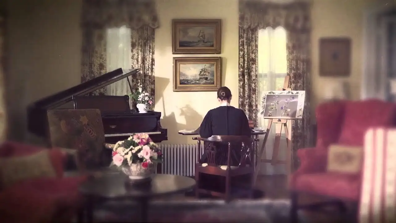 Many Beautiful Things — trailer