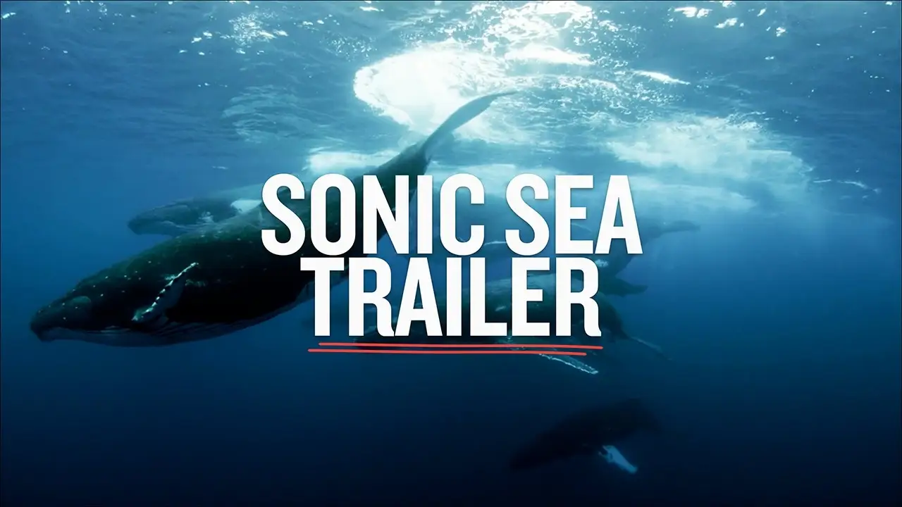 Sonic Sea — trailer