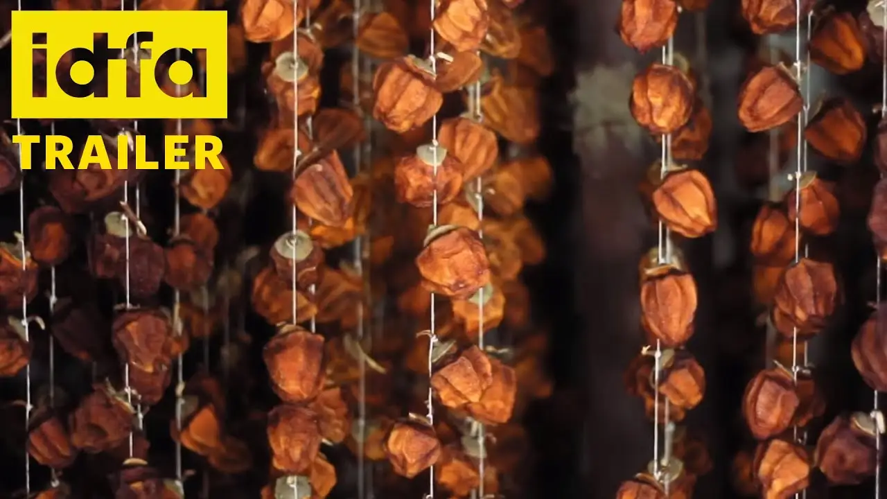 When the Persimmons Grew — trailer
