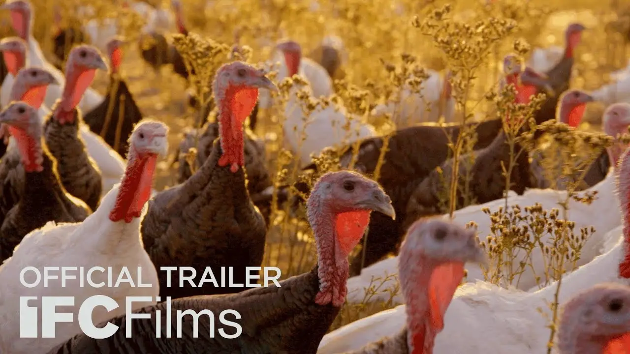 Eating Animals — trailer