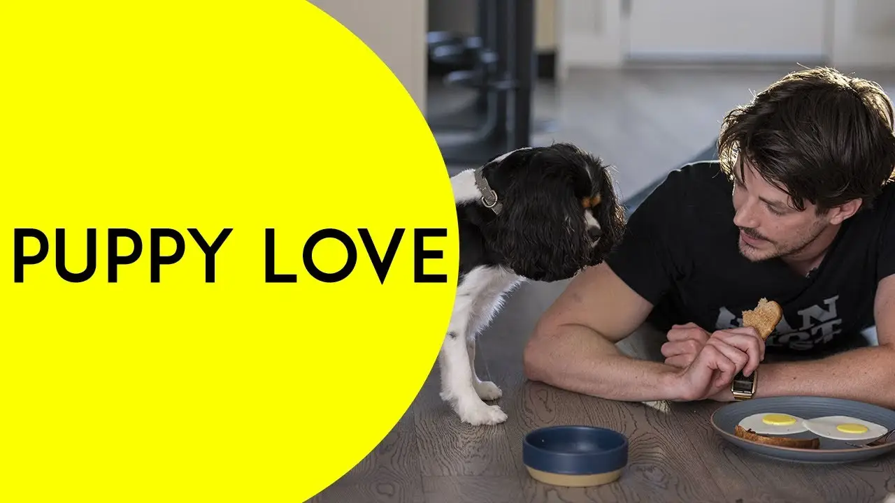 Puppy Love — trailer