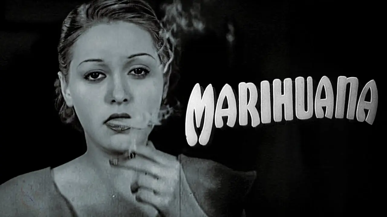 Marihuana — trailer