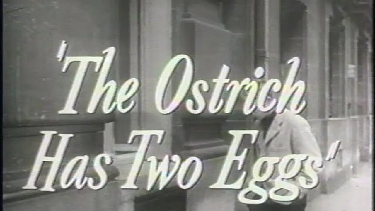 The Ostrich Has Two Eggs — trailer