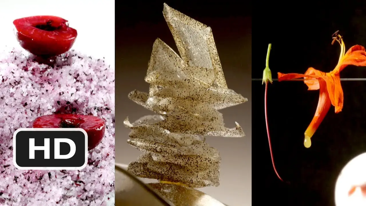 El Bulli: Cooking in Progress — трейлер