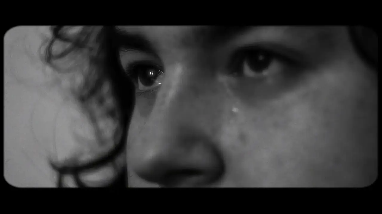 Contraluz — trailer