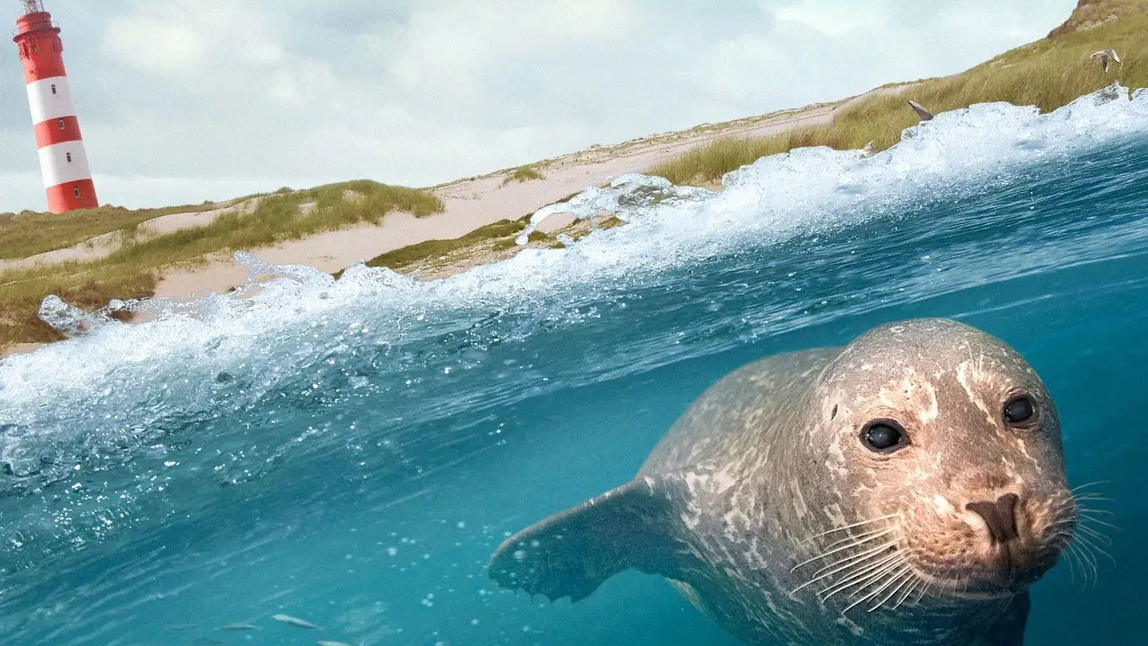 Secrets of the North Sea — trailer