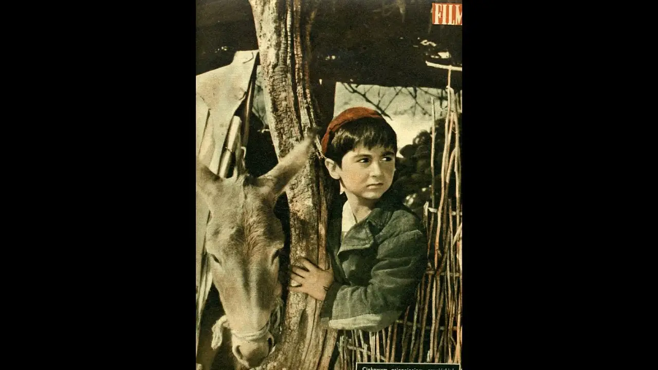 Magdana's Donkey — trailer