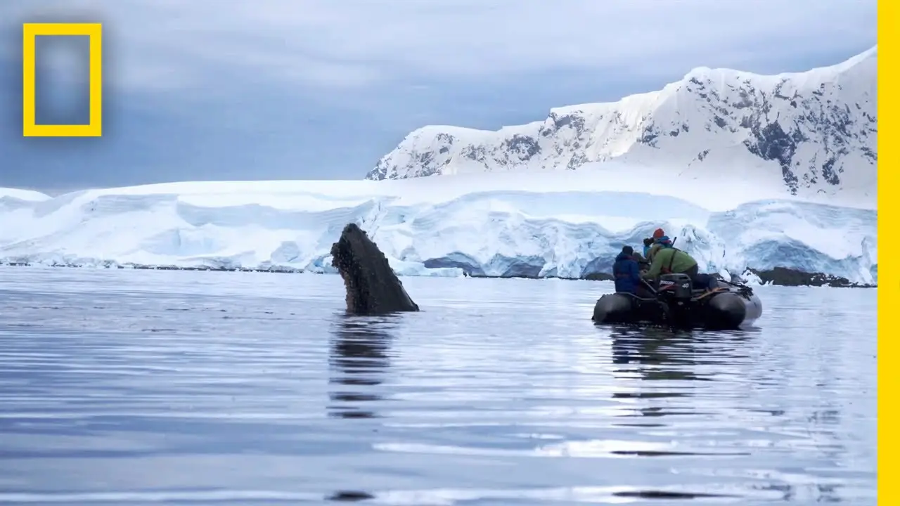 Continent 7: Antarctica — trailer