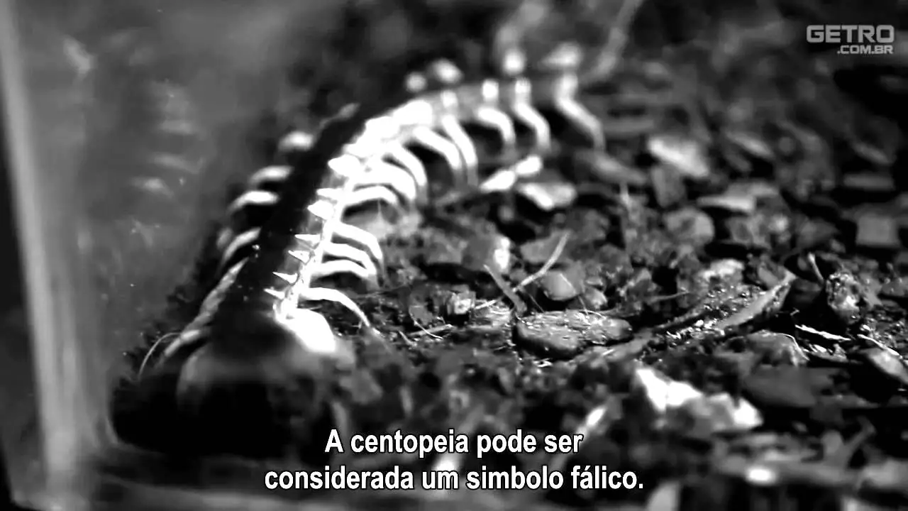 Centopeia — trailer