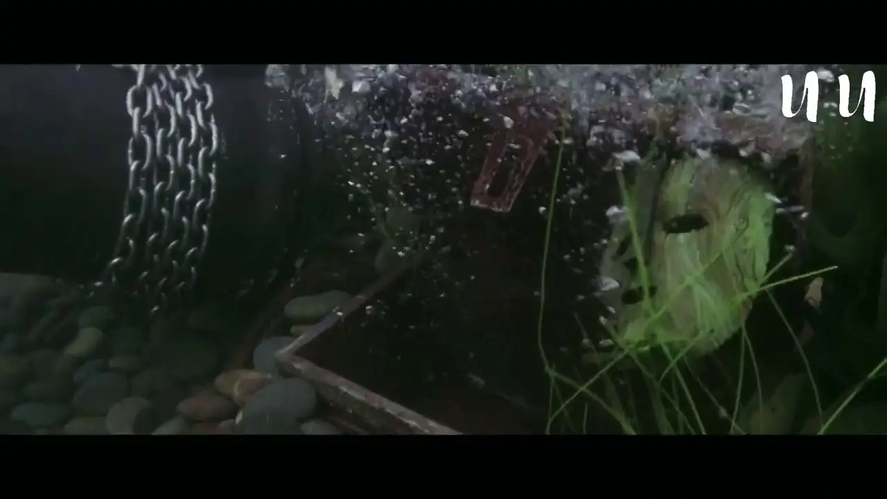 Maska — trailer