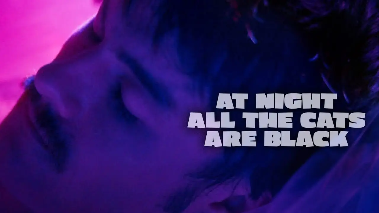 At Night All the Cats Are Black — trailer