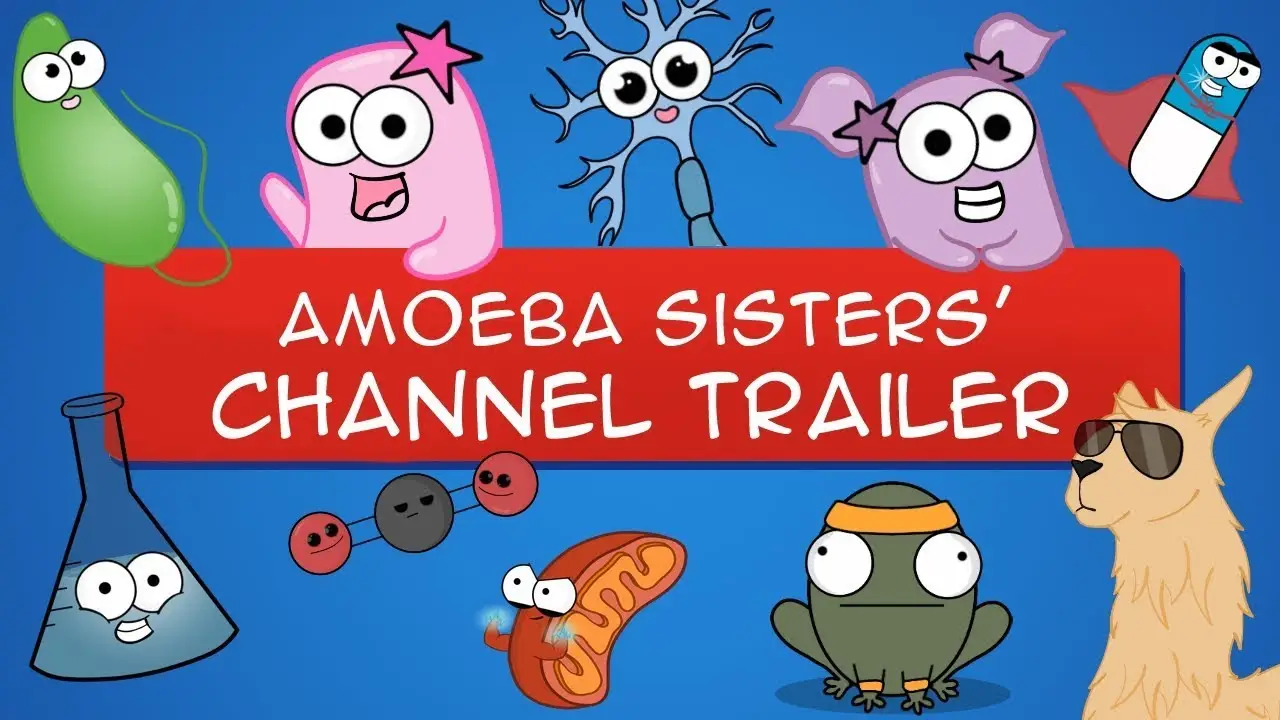 Amoeba — trailer