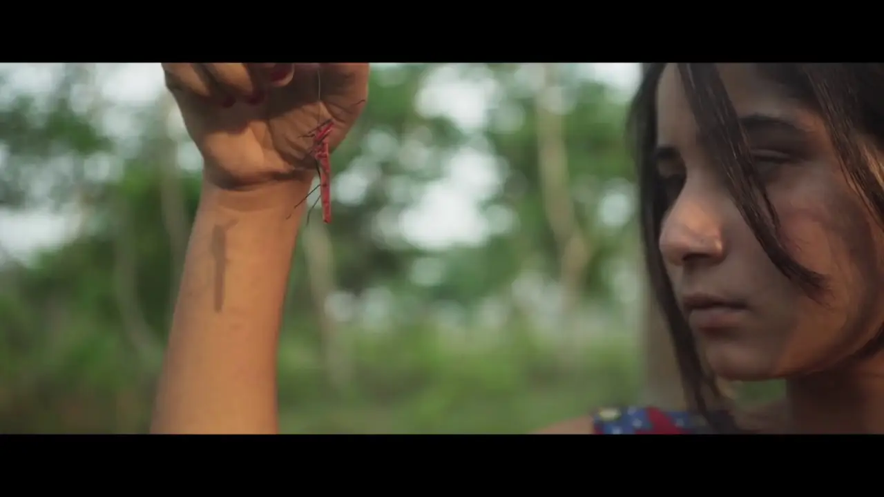 Bulbul Can Sing — trailer