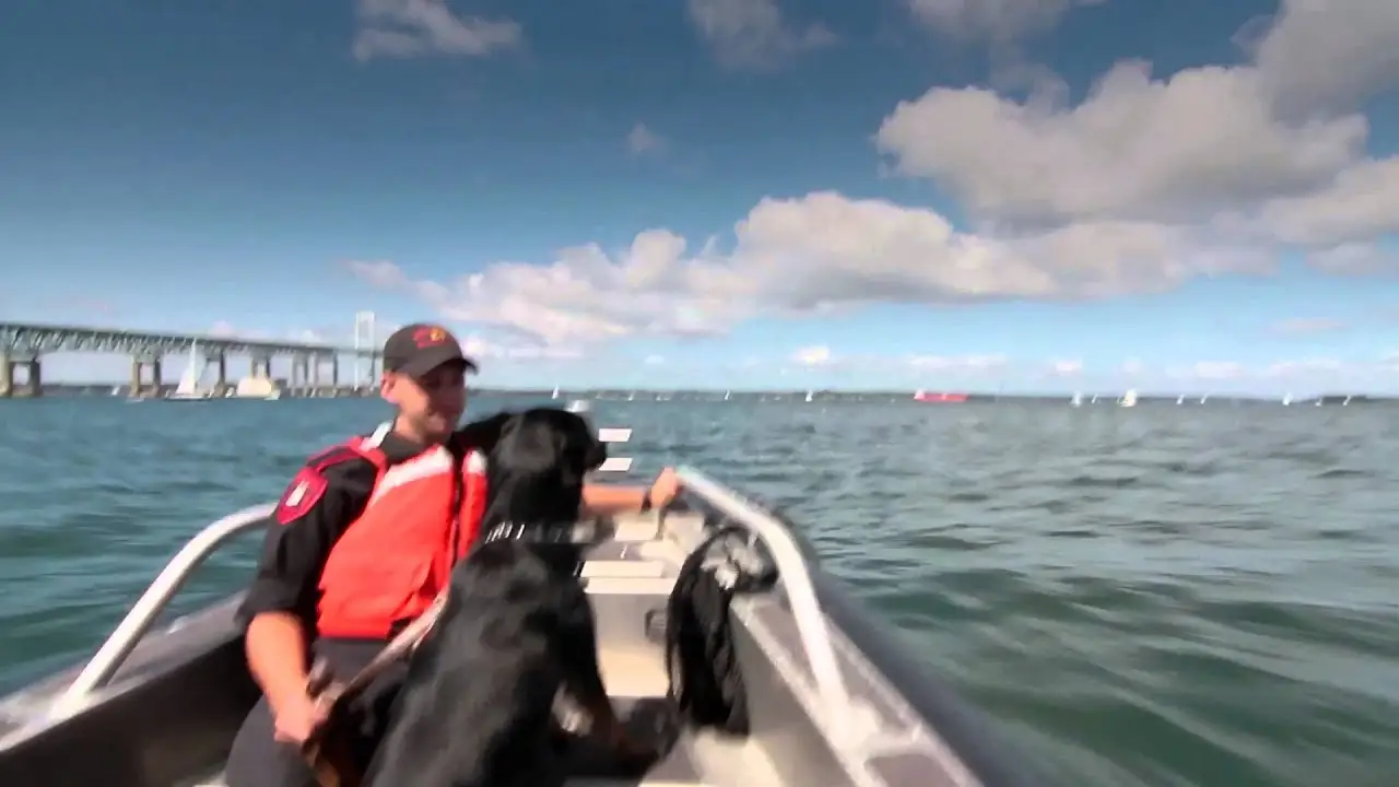 Searchdog — trailer