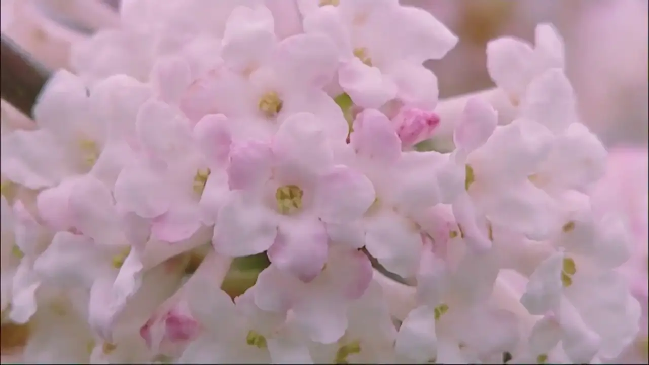 Gardeners' World — трейлер
