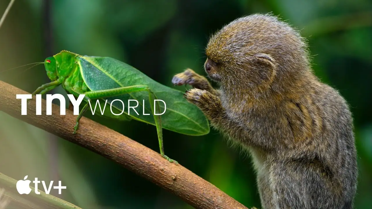 Tiny World — tráiler